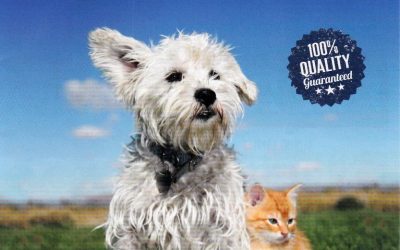 Biofood, L&rsquo;alimentation pour Chien et Chat 100% Naturelle